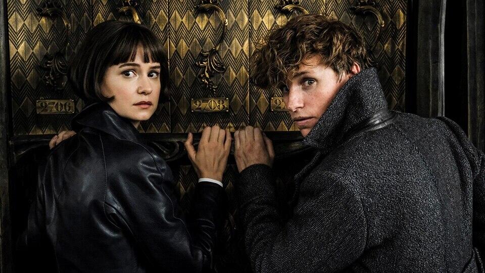 Les Animaux Fantastiques Les Crimes De Grindelwald Distribution Les animaux fantastiques : Les crimes de grinde.. | Klub Cinema